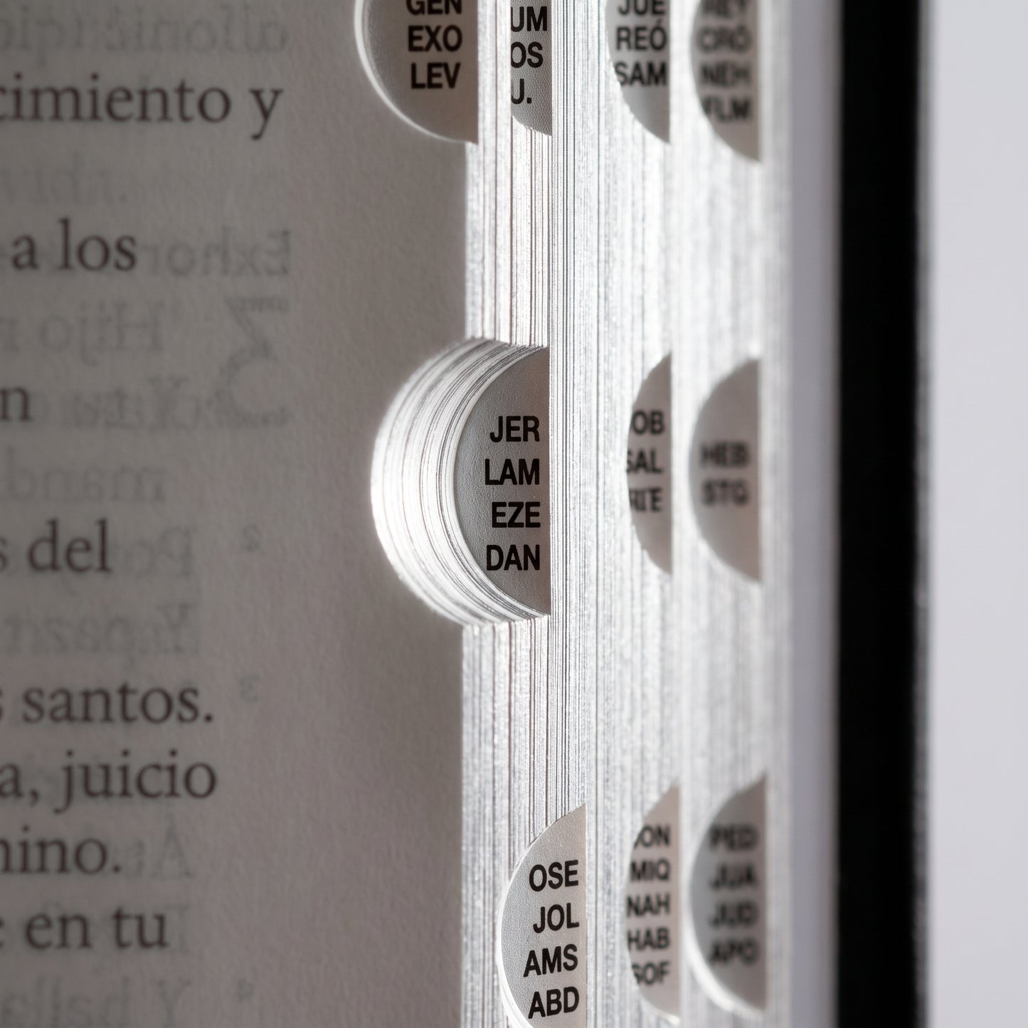 Santa Biblia RVR 1960 — Edición Especial 3D León de Judá