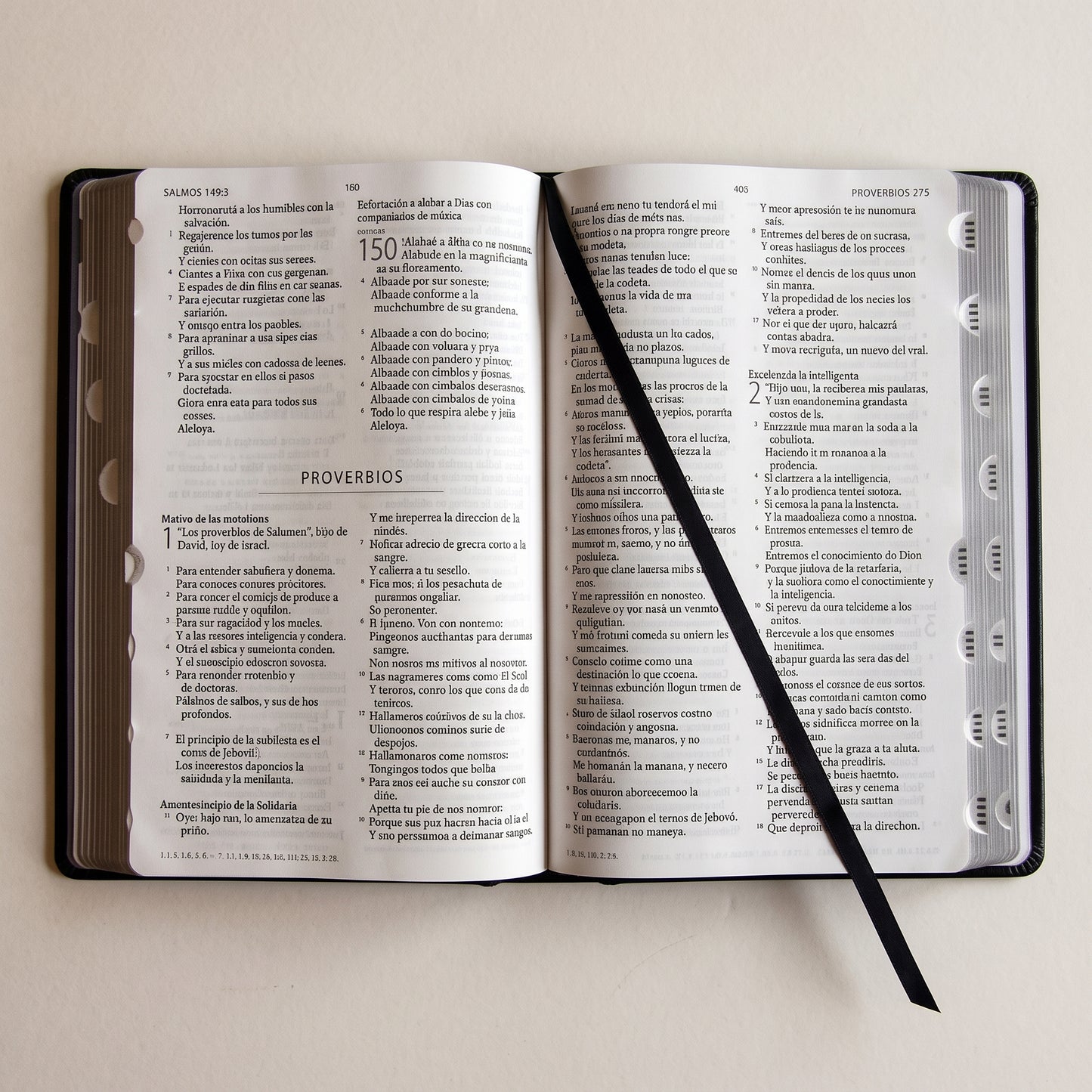 Santa Biblia RVR 1960 — Edición Especial 3D León de Judá