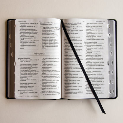 Santa Biblia RVR 1960 — Edición Especial 3D León de Judá