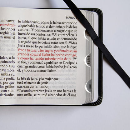 Santa Biblia RVR 1960 — Edición Especial 3D León de Judá